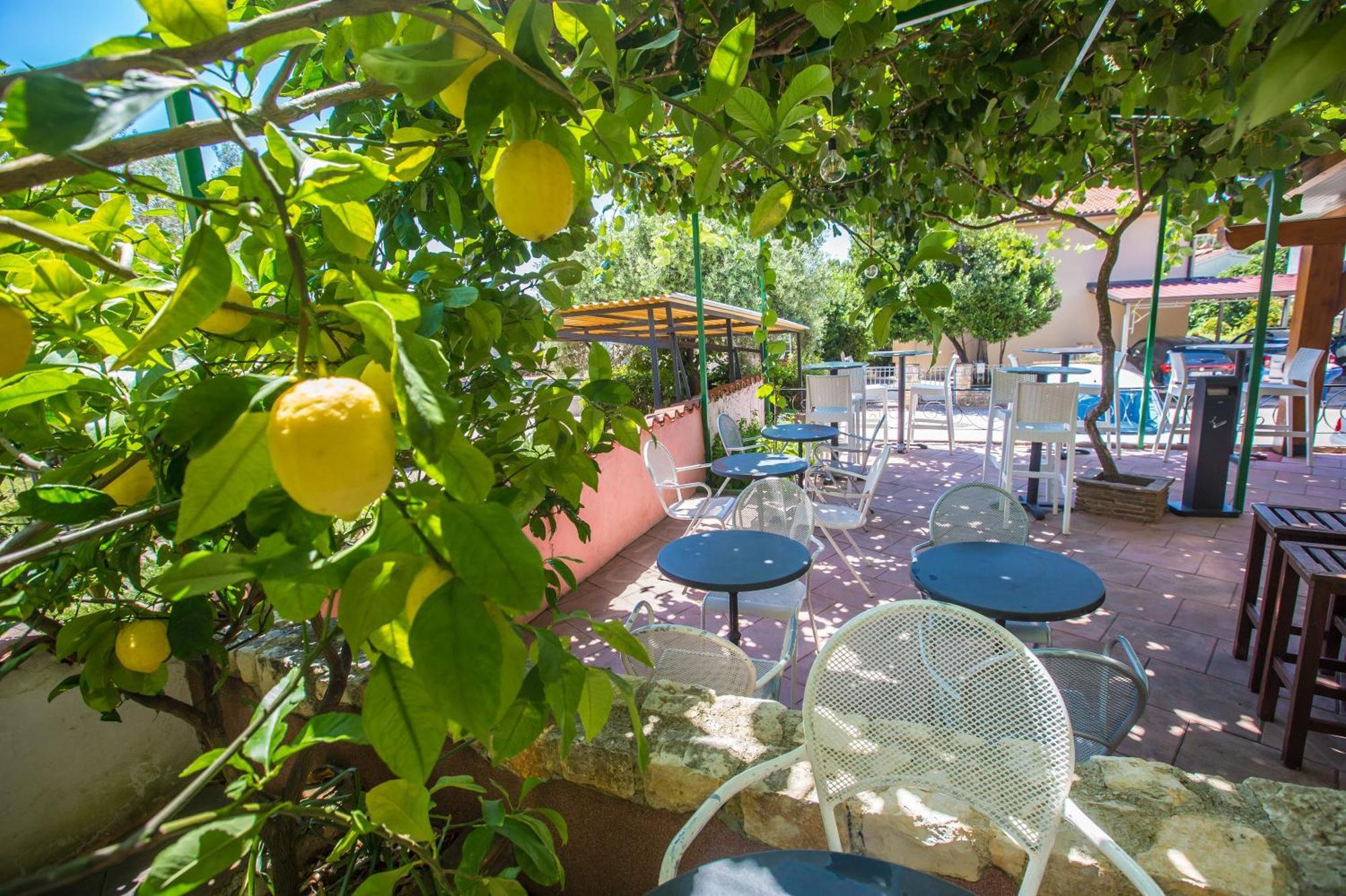 Villa Monsena Rovinj Zewnętrze zdjęcie